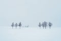 Beautiful Mild Seven Hills tree with Snow in winter season at Biei Patchwork Road. landmark and popular for attractions in