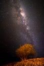 Beautiful Milky Way near Lake Takapo New Zealand during holiday.