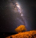 Beautiful Milky Way near Lake Takapo New Zealand during holiday.