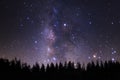 Beautiful milkyway and silhouette of pine tree on a night sky be