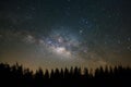 Beautiful milkyway and silhouette of pine tree on a night sky be