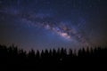 Beautiful milkyway and silhouette of pine tree on a night sky be Royalty Free Stock Photo