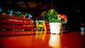 beautiful mini flower pot on wooden table