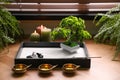 Beautiful miniature zen garden, candles and oil lamps near window