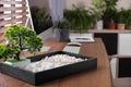 Beautiful miniature zen garden and computer on table in office