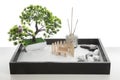 Beautiful miniature zen garden and incense sticks isolated Royalty Free Stock Photo
