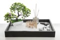 Beautiful miniature zen garden and incense sticks isolated