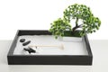 Beautiful miniature zen garden isolated Royalty Free Stock Photo