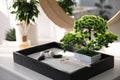 Beautiful miniature zen garden on white table