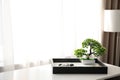 Beautiful miniature zen garden on white table