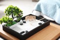 Beautiful miniature zen garden on wooden table indoors