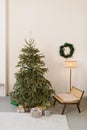 Beautiful minimalistic fir tree or a Christmas tree in a Scandinavian living room