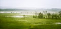 A beautiful mire landscape in Finland - dreamy, foggy look