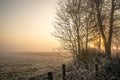 Beautiful misty winter dawn breaking over countryside nature reserve with wild birds flying in the sky. Frost on grass of meadow.