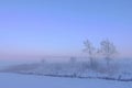 Beautiful winter sunset .Misty Lithuania landscape