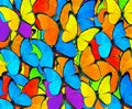 Beautiful mix colorful butterfly background.Colorful Mixed Butte Royalty Free Stock Photo