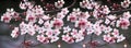 Beautiful mix of Japan cherry blossom pink flower sakura branch, gray natural background.