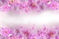 Beautiful mix of roses,orchid and dahlia flower frame in pink background with copy space Royalty Free Stock Photo