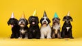 Beautiful mixed breed dogs with party decoration_AI