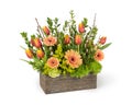 Mixed Spring Flower Arrangement with Orange Tulips and Daisies in Wood Box Florist Made in Flower Shop Royalty Free Stock Photo