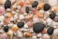 Beautiful mixture of black stones and seashells on sand.