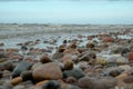 Beautiful mixture of black stones and seashells on sand. View from above