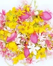 A beautiful mixture of colourful flower petals on white background