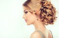 Beautiful model with elegant hairstyle. Royalty Free Stock Photo