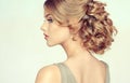 Beautiful model with elegant hairstyle. Royalty Free Stock Photo