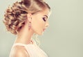 Beautiful model with elegant hairstyle . Royalty Free Stock Photo