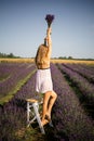 Beautiful model holding a bouquet of fresh lavenders relaxing in the spring or summer lavender field under the rays of the sun. Royalty Free Stock Photo