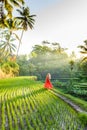 Beautiful model in red dress at Tegalalang Rice Terrace 10