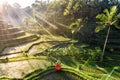 Beautiful model in red dress at Tegalalang Rice Terrace 3