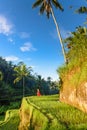 Beautiful model in red dress at Tegalalang Rice Terrace 19