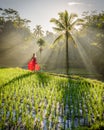 Beautiful model in red dress at Tegalalang Rice Terrace 2