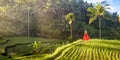 Beautiful model in red dress at Tegalalang Rice Terrace 18