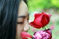 Beautiful model woman kissing red rose flower Royalty Free Stock Photo