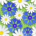 Seamless pattern with cornflower and chamomile Royalty Free Stock Photo