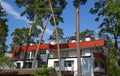 Beautiful modern cottage among tall pines Royalty Free Stock Photo