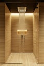 Beautiful modern design of spa bathroom shower with black ceiling, vertical