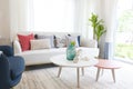 Beautiful modern living room interior with white sofa, colorful pillows, wood table and decorated vase. Royalty Free Stock Photo