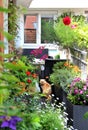 Beautiful modern terrace with a lot of flowers Royalty Free Stock Photo