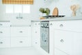 Beautiful modern white kitchenette with window, sink and oven. Kitchen interior and decor Royalty Free Stock Photo