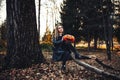 Beautiful modern witch holding halloween pumpkin in the forest. october. happy holidays