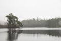 Beautiful mody Autumn Fall landscape of woodland and lake with mist fog during early morning Royalty Free Stock Photo