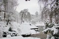 Beautiful moment in the English garden in winter