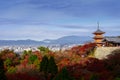 Beautiful Momiji autumn colorful maple background at Kiyomizu-Dera temple and Kyoto city, Japan, Kiyomizu-Dera is UNESCO world he Royalty Free Stock Photo