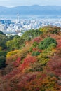 the beautiful Momiji autumn colorful maple garden at Kiyomizu-D Royalty Free Stock Photo