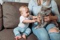 Beautiful mommy with cute one year old baby play with cat