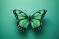 Beautiful monarch butterfly on a mint color background
